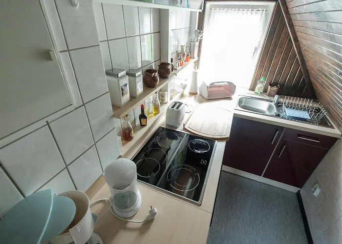 Familiennest In Ruebeland * Neuwerk (Saxony-Anhalt)